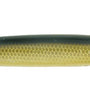 Smithwick Devil Horse 1-2 Tennessee Shad