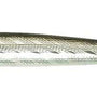 Rebel Jointed Minnow 3.5" Silver-Black